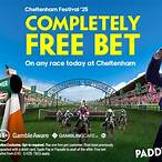 how to use paddy power free bet